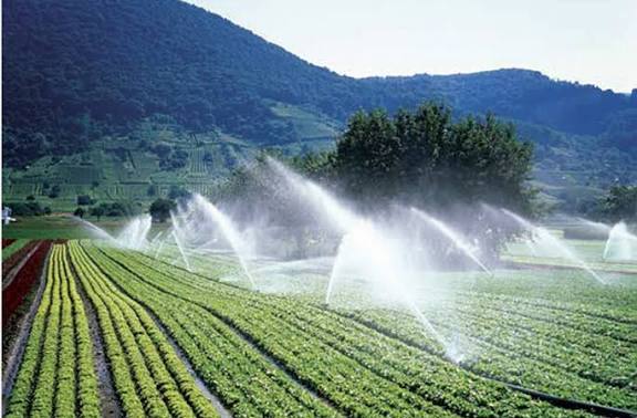 Agri Project